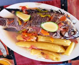 Plantain with Tilapia vegetable stew