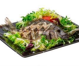 Salad with Tilapia